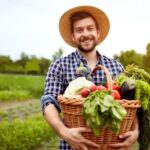 Firme agricultura si Fermieri baza de date