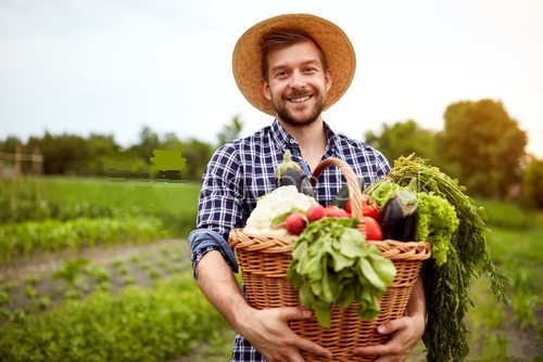 Firme agricultura si Fermieri baza de date